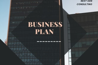 write business plan and immigration business plan for startup