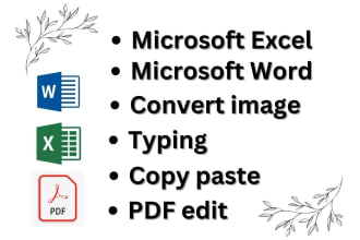 do typing, excel, ms word copy paste, convert PDF and image