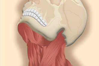 do realistic professional medical illustrations