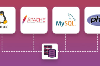 configure, fix linux server, mysql nginx, apache with SSL