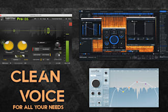 remove the s and resonances from your voice like a pro