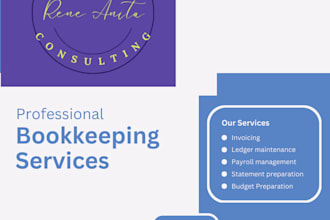 provide expert nonprofit accounting and financial consulting