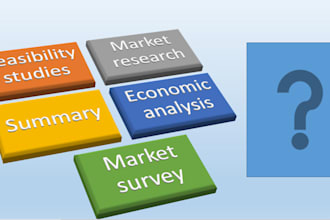 do market research and feasibility studies