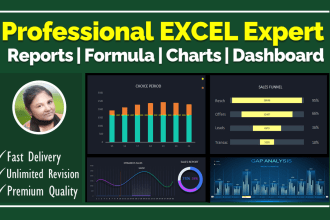 create excel pivot tables, charts, formulas, dashboards and reports
