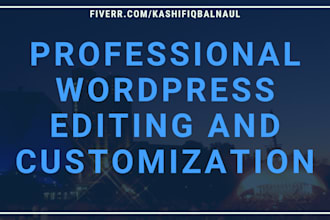 do professional wordpress editing and customization