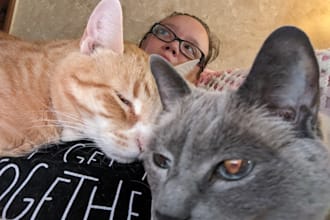 pet sit for your fur kids