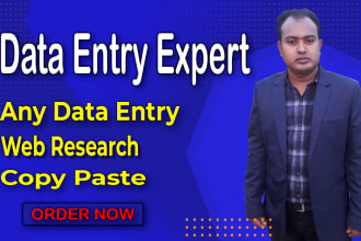 do any data entry, web research and convert file excel