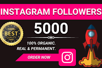 increase 5k instagram followers with lifetime guarantee