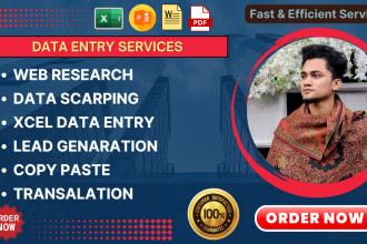 do accurate data entry, b2b lead generation, web scraping, copy paste
