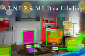 do image annotation, data labelling, bounding box