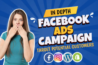 set up facebook conversion campaign, sales campaign