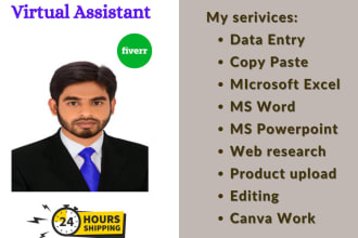 be your professional personal virtual assistant for all online work