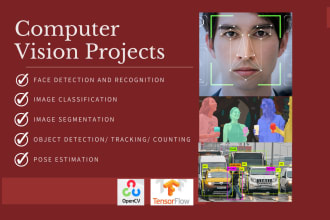 provide custom facial recognition, face verification, liveness detection