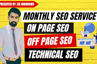 provide monthly on page off page technical seo service