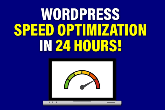 do wordpress speed optimization in 24 hours on gtmetrix and google page speed
