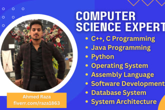 do c cpp python java operating system assembly tasks, projects and assignment