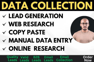 do accurate data collection, copy paste, web research and excel data entry jobs