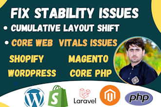 fix cls issues of wordpress,PHP and shopify websites