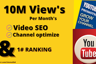 manage your channel and  video SEO section