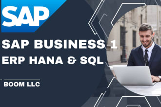 be your techno functional consultant in sap business one