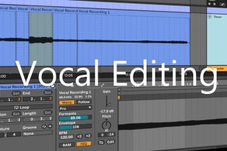 tune and mix your vocals into your track