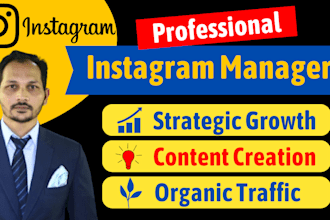 your professional and strategic instagram manager