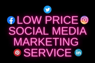 be your social media manager through fb ig pinterest linkedin twitter marketing