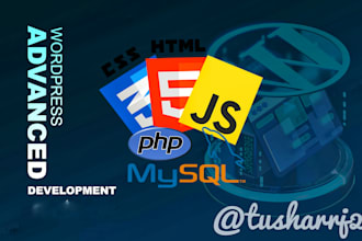 add custom functionality to wordpress