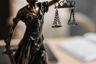 provide civil rights legal support