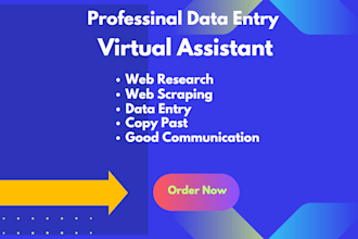 do data entry expert virtual assistant ms office