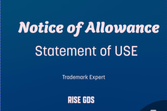 file notice of allowance or statement of use