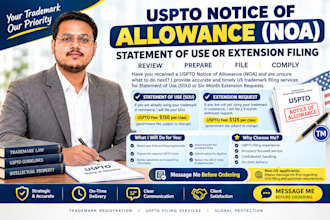 file US USA trademark notice of allowance statement of use