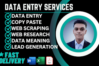 do accurate data entry, copy paste, and web scraping