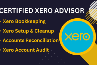 do setup, clean up, and bookkeeping in quickbooks online, xero, and wave