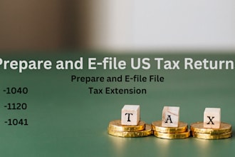prepare and file US tax returns 1040 1120s 1041 and tax extension