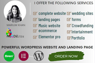 design a powerful wordpress website and landing page
