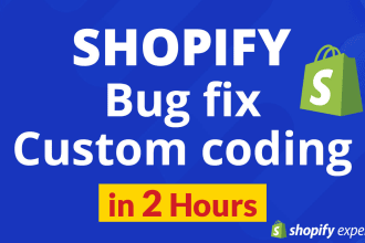 fix shopify bug, set up shopify store with expert shopify coding solutions