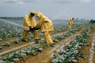 write agricultural content, research, and summaries