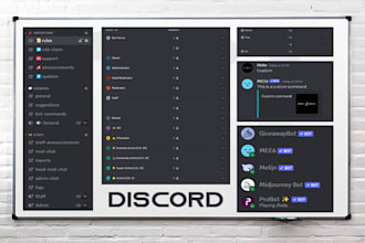 do a proffesional custom discord server for your community