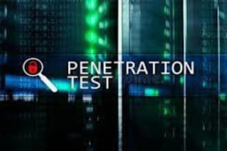 do pentest on your website and server with report