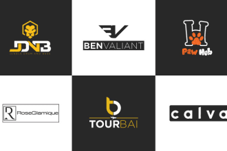 be your logo designer certified brand identity expert graphic designer