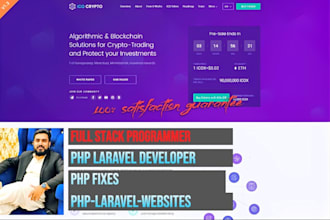 fix and develop php, vuejs, reactjs custom websites laravel developers