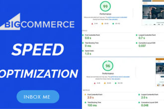 speed up bigcommerce store for google pagespeed insights