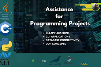 be your python programmer, do python assignments and tasks