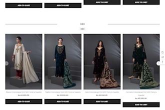 create a e commerce website and drop shopping