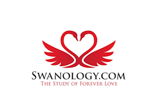 make professional dating logo design