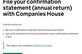 file confirmation statement for your UK company