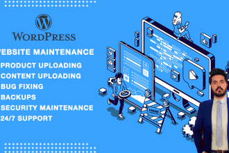 provide website maintenance and support for wordpress website