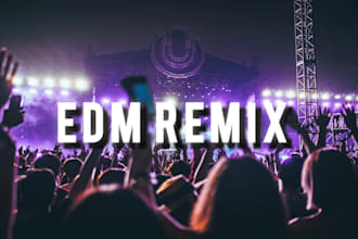 remix your song in any edm style