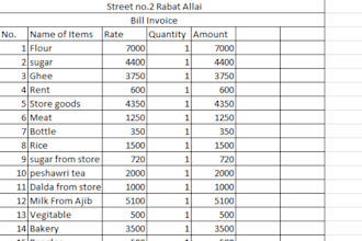 do presentations, data entry in excel
